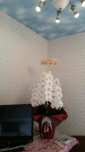 Tokyo Guest House 2020 - 19