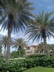 Centara Mirage Resort Mui Ne - 12