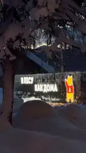 В лесу как дома - 5
