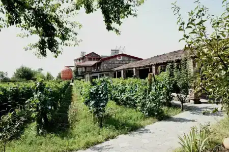Twins Wine House - 17