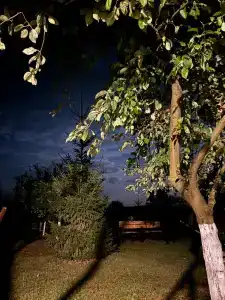 Беловежское Поместье - 56