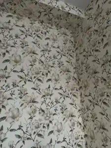 Флотилия - 50