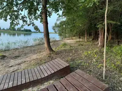 Соколино - 45