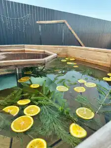 Страусы Биляра - 9