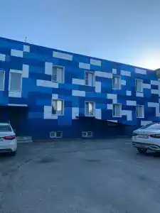 Лебедь - 13