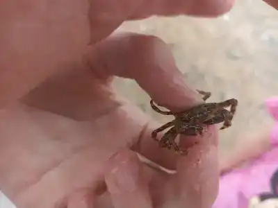 Дом друзей - 41