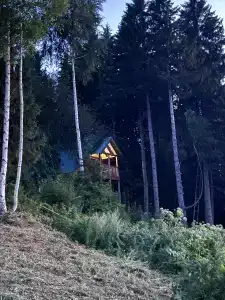 Рябинушка - 32