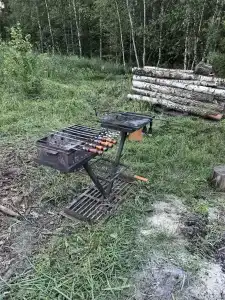 Форест чан - 19