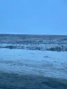 у Старого Хурула - 25