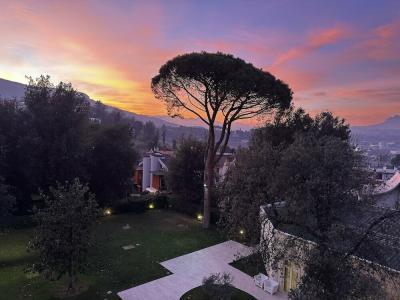 Pigna - 10