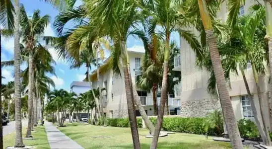 Coral Reef at Key Biscayne - 7