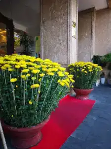 Imperial Nha Trang - 24