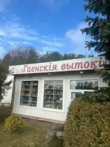 Гаенскiя Вытокi - 0
