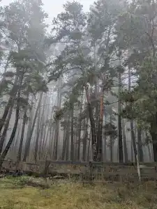Михайлова Слобода - 33