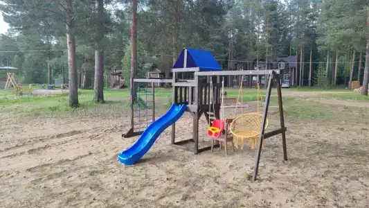 Шишкин лес - 18