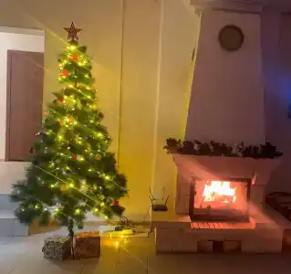 Коди Ярви - 6