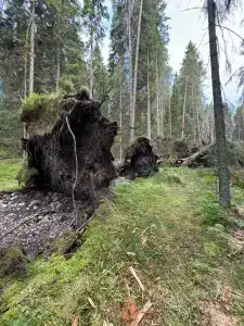 Рузя Карелия - 21