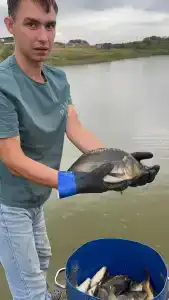 Широкая балка - 75