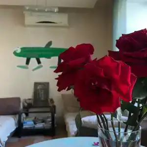 Корюшка Пошла - 9