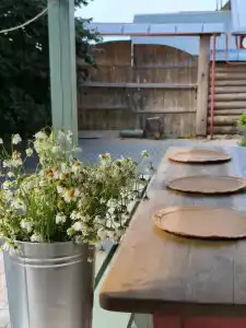 Сирин дом - 88