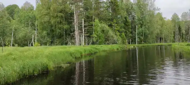 Ковжа - 46