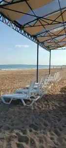 Альбатрос - 91