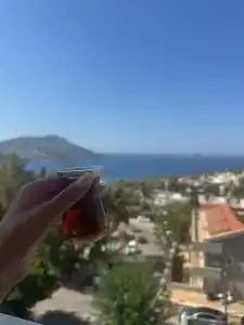 Mogons Exclusive - 24