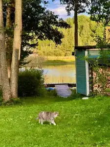 Дом на Вуоксе - 11