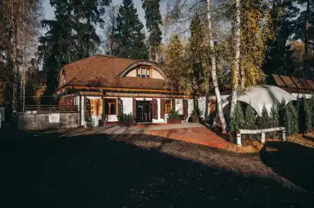 Гуси-Лебеди - 1