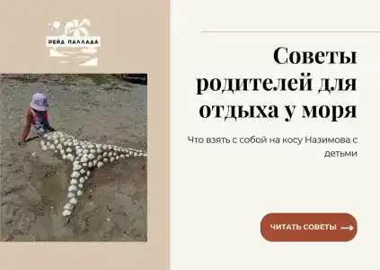 Рейд Паллада - 23