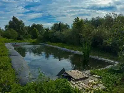 Сергово - 1