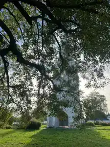 СуздальСад - 17