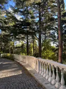 Зазеркалье - 4