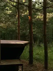 Сосны. Пространствие - 76