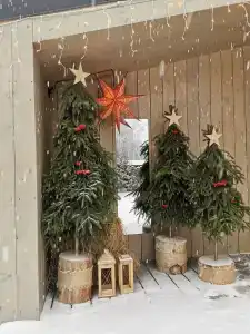 Дача в соснах - 4