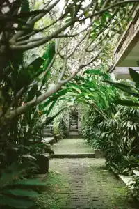 Honeymoon - 19