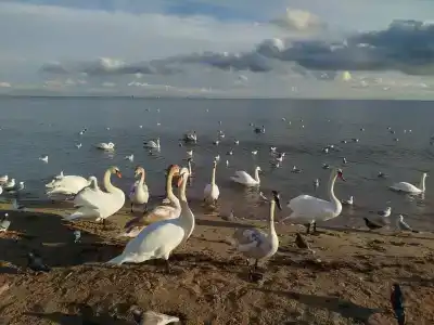 Евпатория - 32