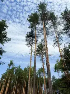 Кама с рассвета ДО заката - 6