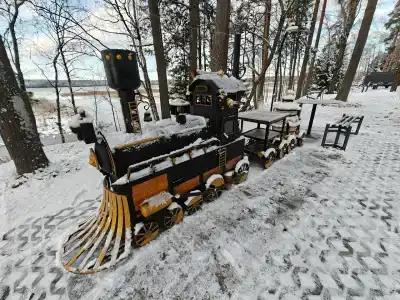 Сосновый берег - 31