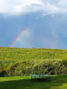 Лукино-Парк - 49