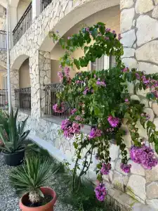 Guest House Nartaa - 17