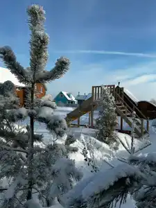 Медведково - 23