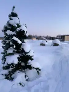 Тарасовская слобода - 3