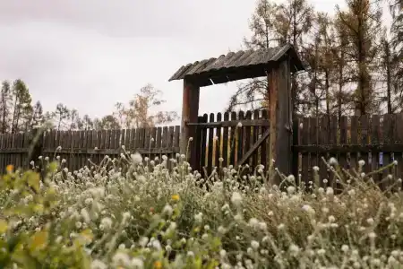 Мультинское раздолье - 27