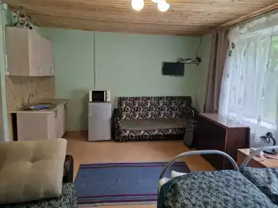Берёзка - 49