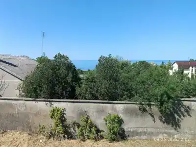Царское Село - 35