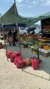 Электра Холидей - 47