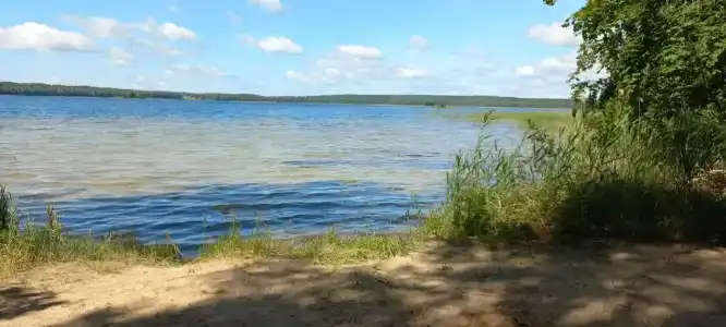 Викинг - 5