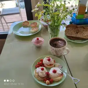 Смородина - 28