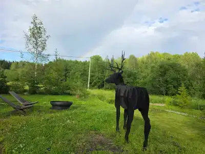 Карельские Лага - 64